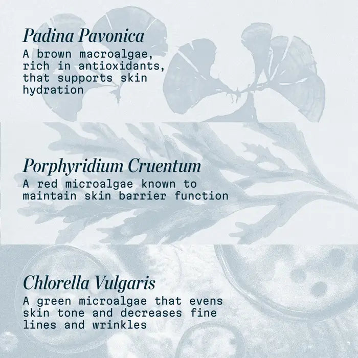 Pro-Collagen Marine Cream SPF 30